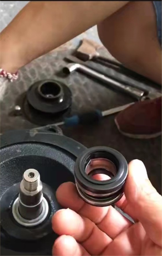 机械密封更换